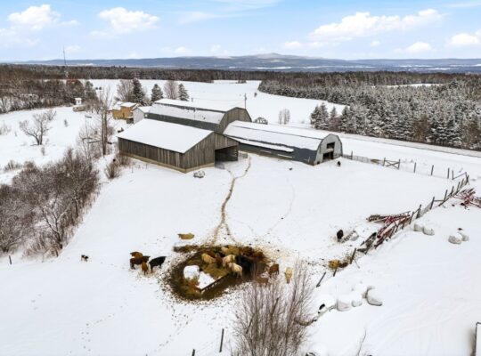 Bury (Estrie) : Ferme ovine et bovine 123 acres