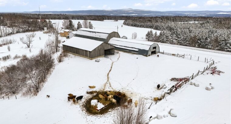 Bury (Estrie) : Ferme ovine et bovine 123 acres
