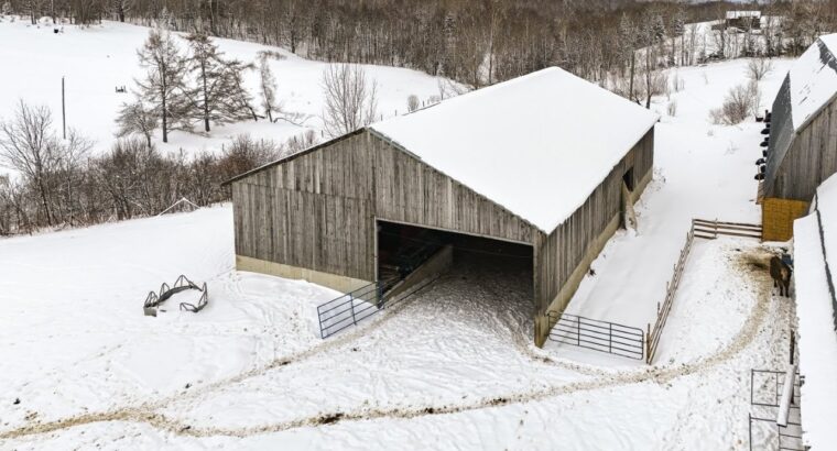 Bury (Estrie) : Ferme ovine et bovine 123 acres