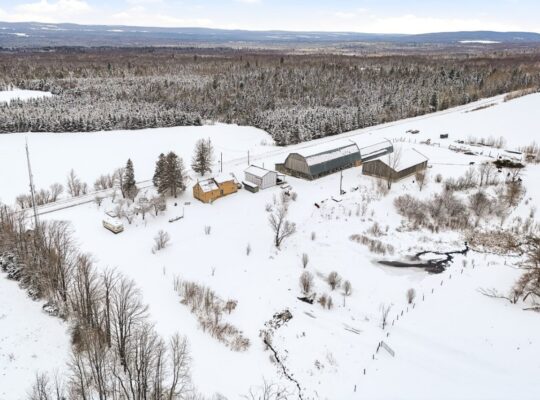 Bury (Estrie) : Ferme ovine et bovine 123 acres