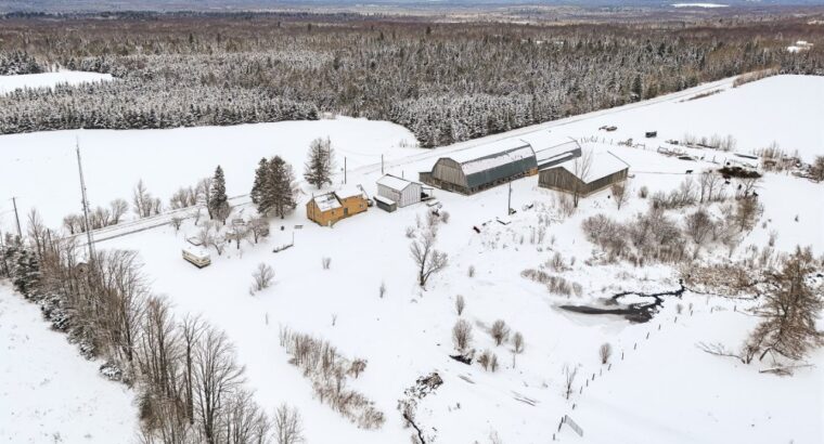 Bury (Estrie) : Ferme ovine et bovine 123 acres