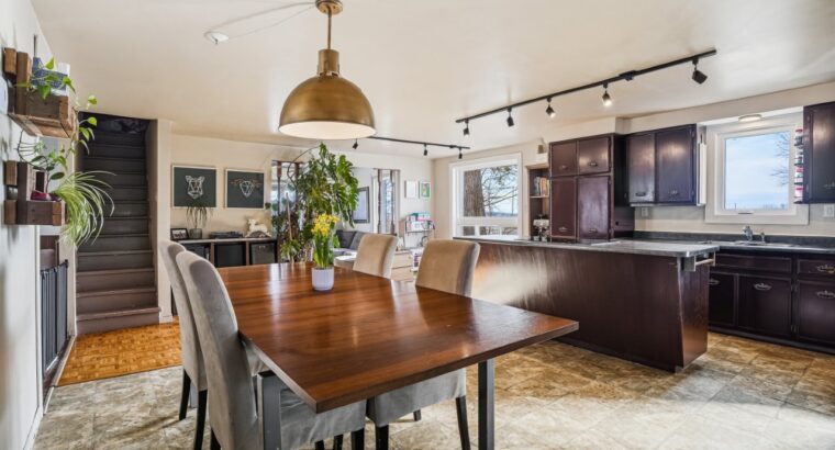 St-David (Montérégie) : Fermette – terre 30 acres