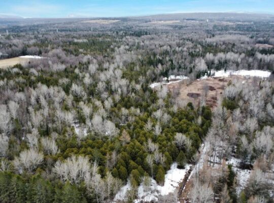Ste-Anne-de-la-Rochelle (Estrie) :Terre à bois 16a