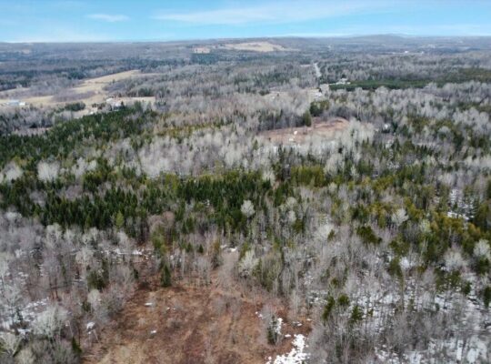Ste-Anne-de-la-Rochelle (Estrie) :Terre à bois 16a