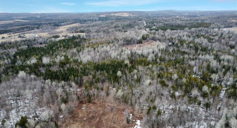 Ste-Anne-de-la-Rochelle (Estrie) :Terre à bois 16a