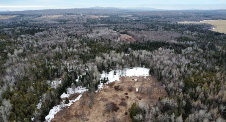 Ste-Anne-de-la-Rochelle (Estrie) :Terre à bois 16a