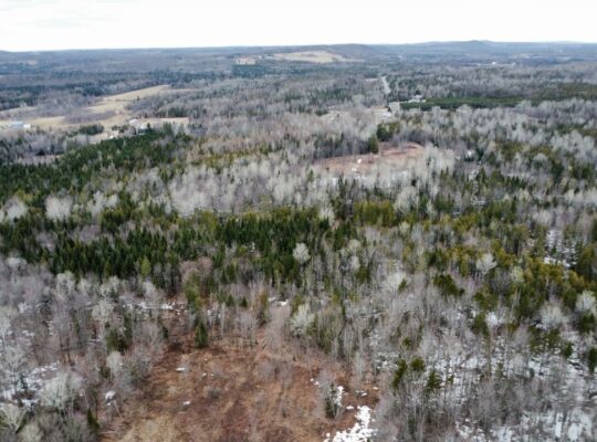 Ste-Anne-de-la-Rochelle (Estrie) :Terre à bois 16a
