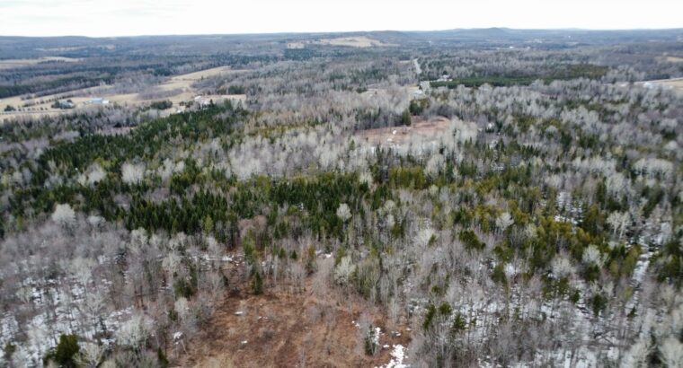 Ste-Anne-de-la-Rochelle (Estrie) :Terre à bois 16a