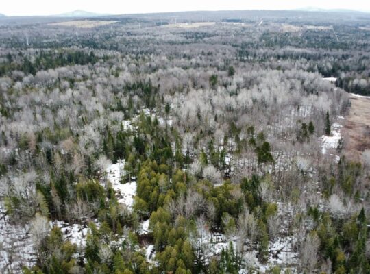 Ste-Anne-de-la-Rochelle (Estrie) :Terre à bois 16a
