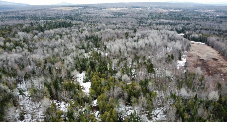 Ste-Anne-de-la-Rochelle (Estrie) :Terre à bois 16a