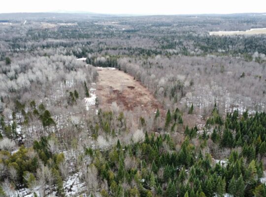 Ste-Anne-de-la-Rochelle (Estrie) :Terre à bois 16a