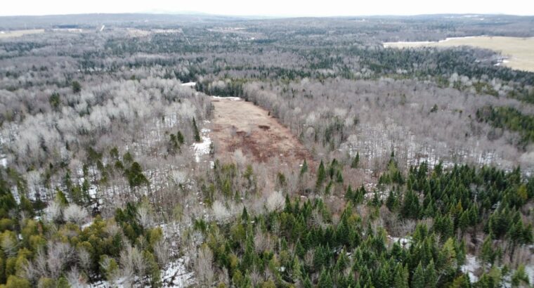 Ste-Anne-de-la-Rochelle (Estrie) :Terre à bois 16a