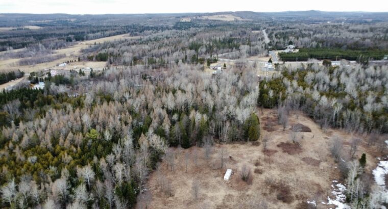 Ste-Anne-de-la-Rochelle (Estrie) :Terre à bois 16a