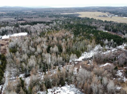 Ste-Anne-de-la-Rochelle (Estrie) :Terre à bois 16a