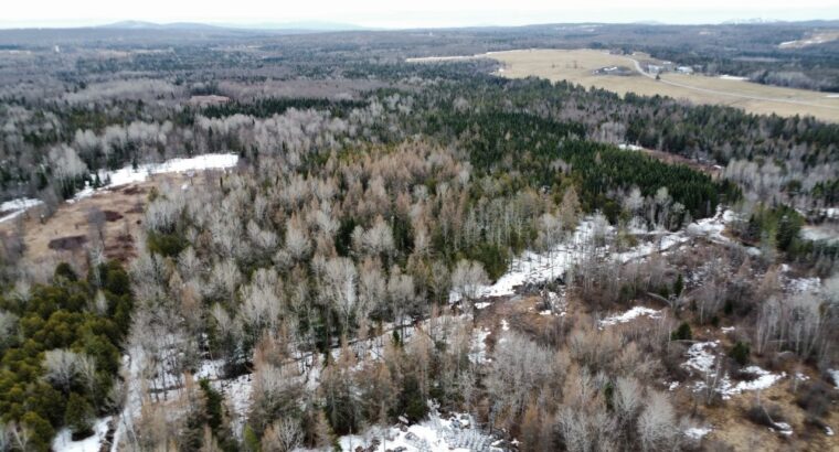 Ste-Anne-de-la-Rochelle (Estrie) :Terre à bois 16a