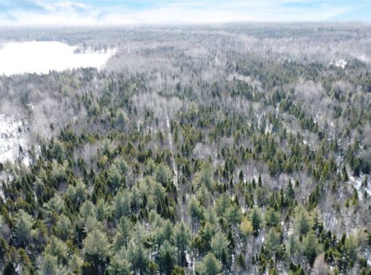 Lévis (Chaudière-Appalaches) :Terre à bois 67 acr.