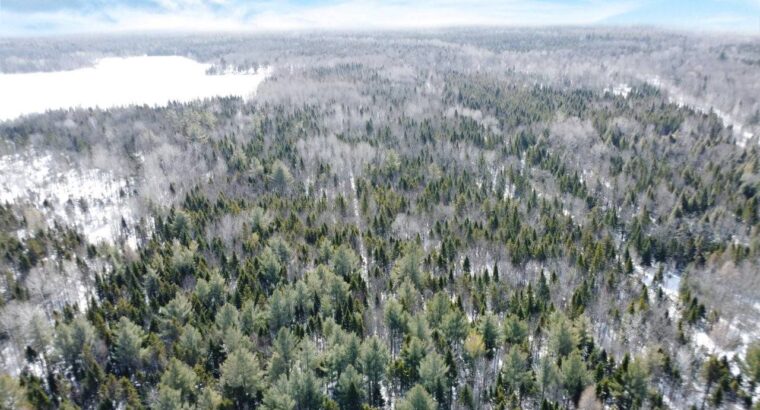 Lévis (Chaudière-Appalaches) :Te...