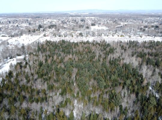 Lévis (Chaudière-Appalaches) :Terre à bois 67 acr.