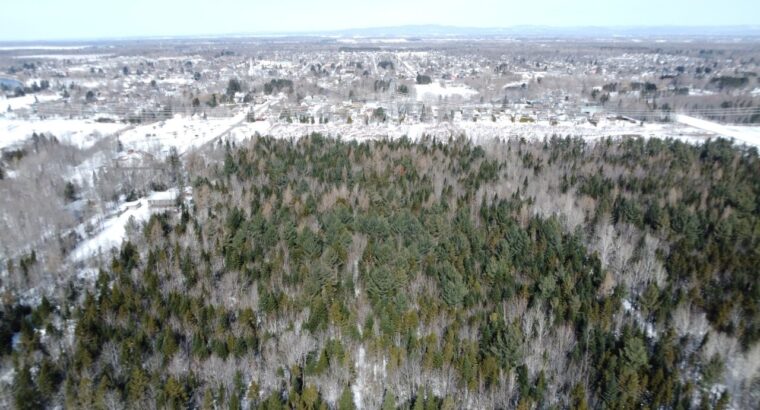 Lévis (Chaudière-Appalaches) :Terre à bois 67 acr.
