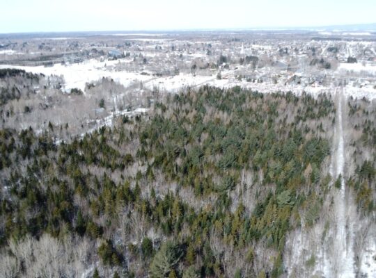Lévis (Chaudière-Appalaches) :Terre à bois 67 acr.