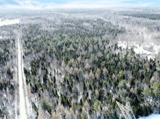 Lévis (Chaudière-Appalaches) :Terre à bois 67 acr.