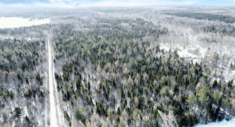 Lévis (Chaudière-Appalaches) :Terre à bois 67 acr.