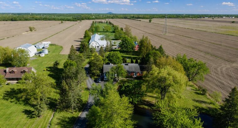 St-Basile-le-Grand : Domaine C...
