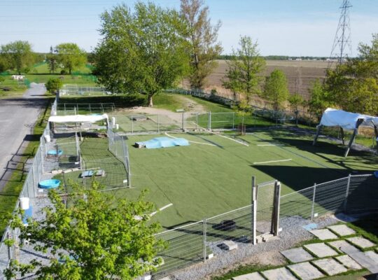 St-Basile-le-Grand : Domaine Canin et équestre