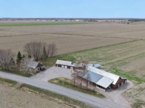 St-Simon-de-Bagot (Montérégie) : Ferme Bovine