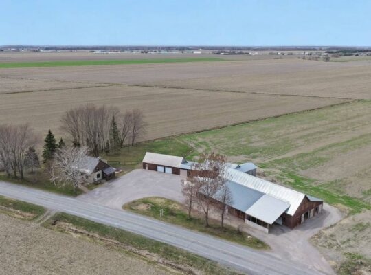 St-Simon-de-Bagot (Montérégie) : Ferme Bovine