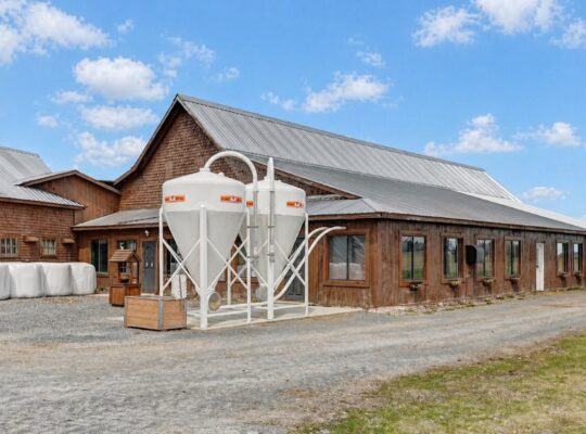 St-Simon-de-Bagot (Montérégie) : Ferme Bovine