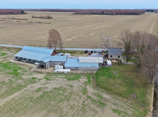 St-Simon-de-Bagot (Montérégie) : Ferme Bovine