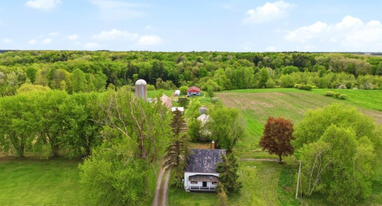 St-David (Montérégie) : Fermette, terre, 30 acres