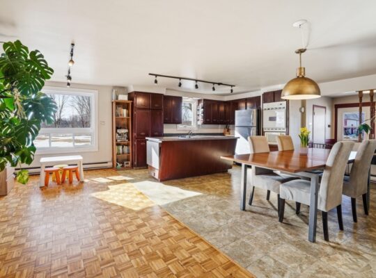 St-David (Montérégie) : Fermette, terre, 30 acres