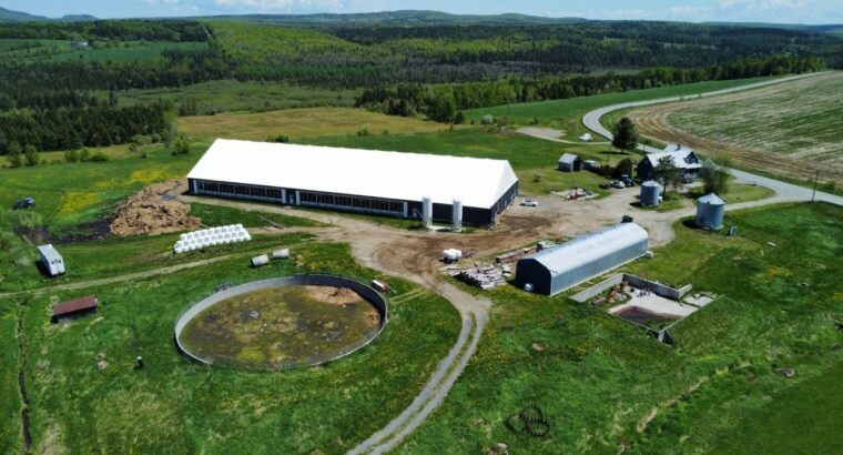 St-Camille : Ferme de chèvres laitières 158 acres