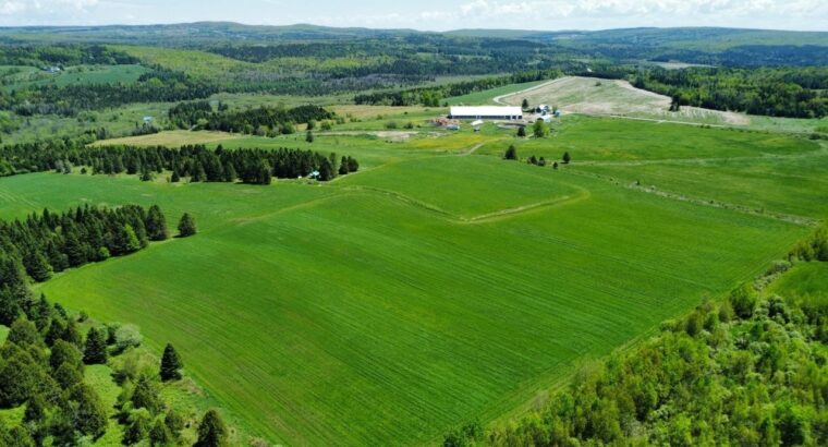 St-Camille : Ferme de chèvres laitières 158 acres