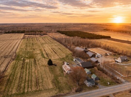St-Sylvère (Centre-du-Québec) : Fermette Érablière