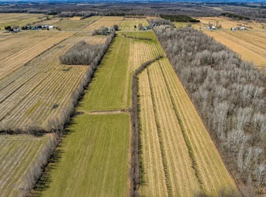 St-Sylvère (Centre-du-Québec) : Fermette Érablière