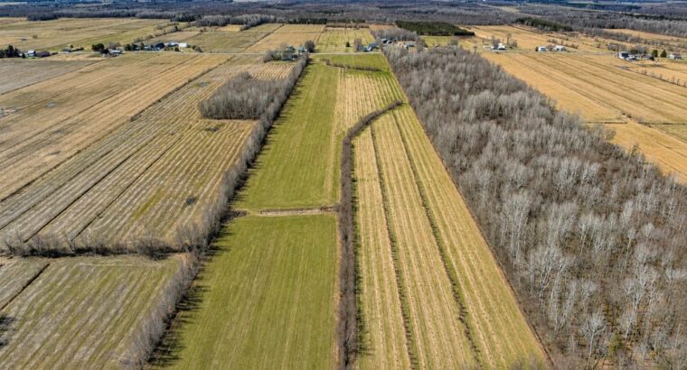 St-Sylvère (Centre-du-Québec) : Fermette Érablière