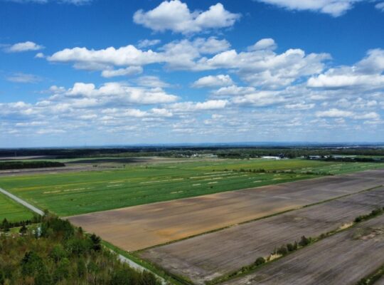 Ste-Eulalie (Ctre-du-Québec)Terres agricoles 188ac