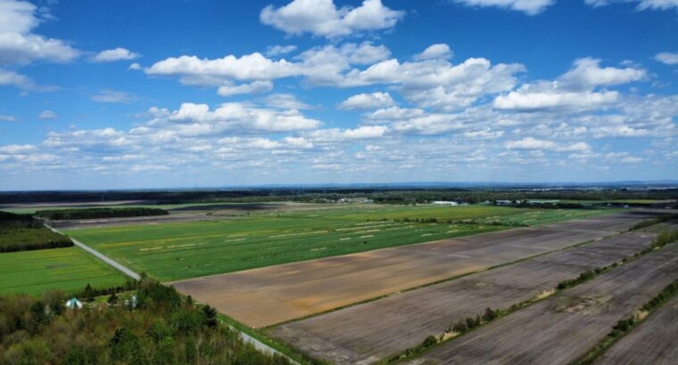 Ste-Eulalie (Ctre-du-Québec)Ter...