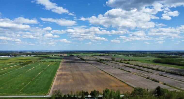 Ste-Eulalie (Ctre-du-Québec)Terres agricoles 188ac