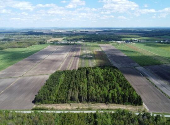 Ste-Eulalie (Ctre-du-Québec)Terres agricoles 188ac