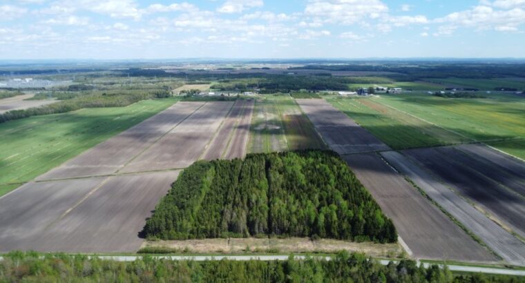 Ste-Eulalie (Ctre-du-Québec)Terres agricoles 188ac