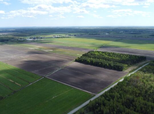 Ste-Eulalie (Ctre-du-Québec)Terres agricoles 188ac