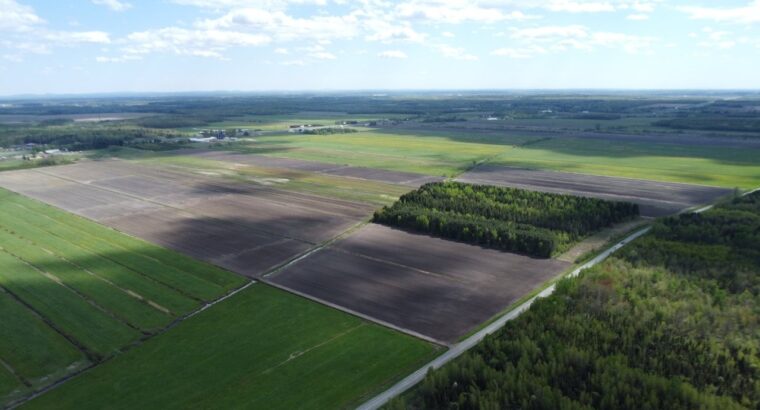Ste-Eulalie (Ctre-du-Québec)Terres agricoles 188ac