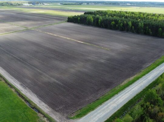 Ste-Eulalie (Ctre-du-Québec)Terres agricoles 188ac