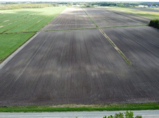 Ste-Eulalie (Ctre-du-Québec)Terres agricoles 188ac