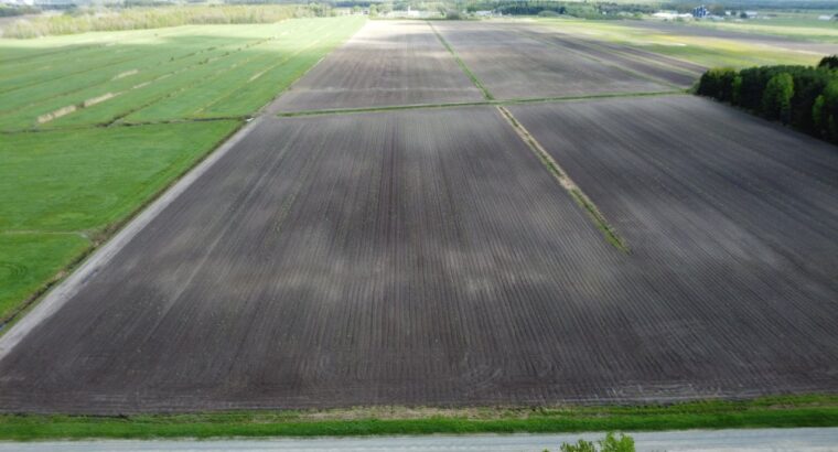 Ste-Eulalie (Ctre-du-Québec)Terres agricoles 188ac