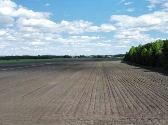 Ste-Eulalie (Ctre-du-Québec)Terres agricoles 188ac
